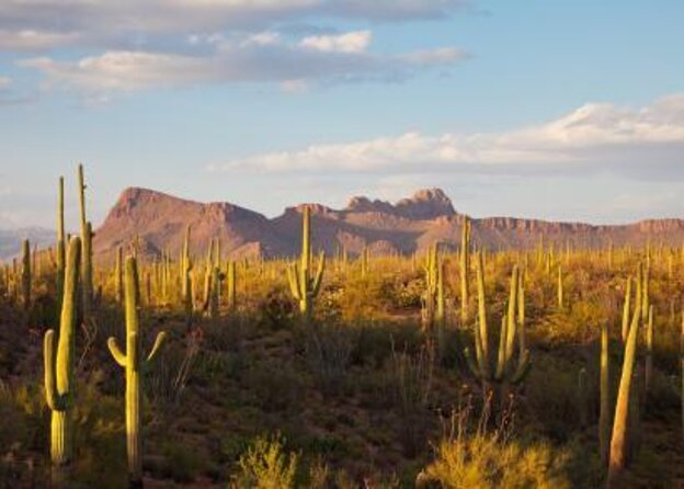 Guided Sunset U-Drive UTV Sand Buggy Tour Scottsdale - Good To Know
