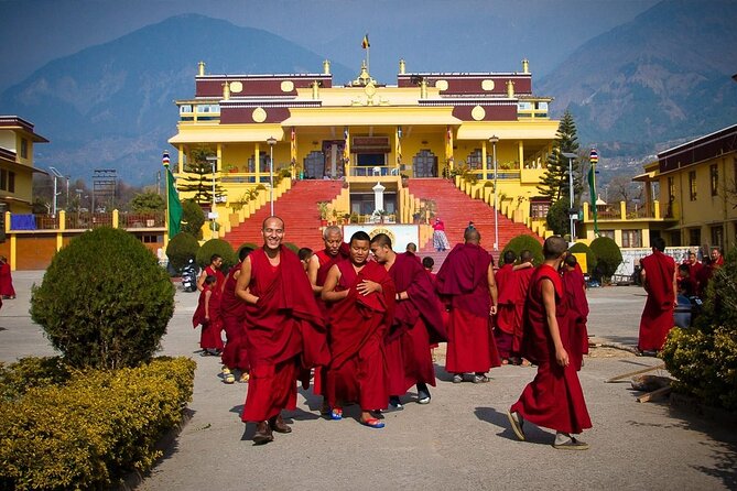 Guided Tibetan Culture Walk at Norbulingka,Gyuto and Nunnery - Good To Know
