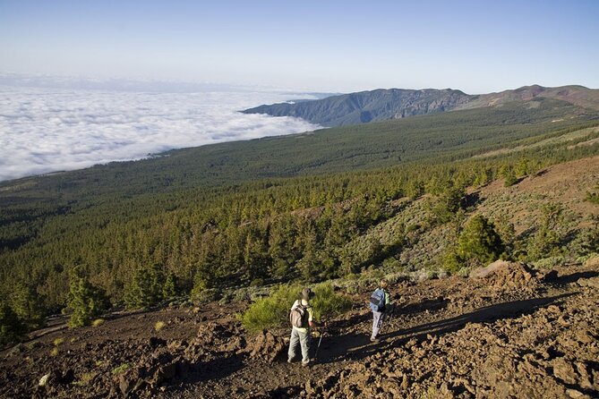 Guided Tour to Teide National Park in Tenerife - Tour Overview and Details