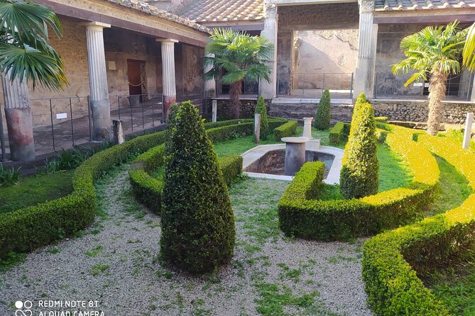 Guided Tours of Pompeii Excavations Historical and Cultural Itineraries - Good To Know