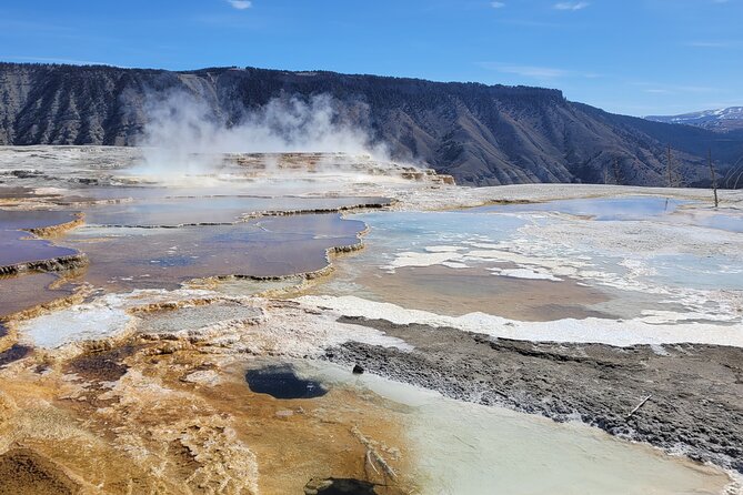 Guided Upper Loop of Yellowstone Tour From Cody, WY - Tour Overview and Highlights