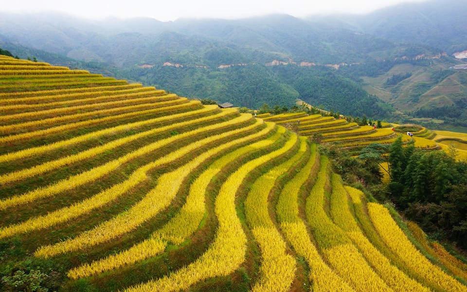 Guilin: Longji Rice Terraces and Minority Village Tour - Good To Know