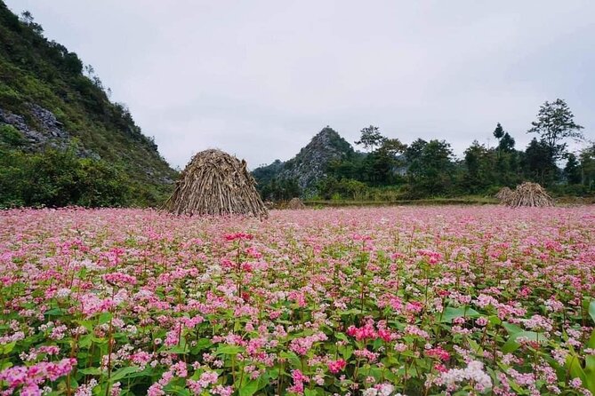 Ha Giang Loop 3d/2n Private Tour With Easy Rider - Tour Overview
