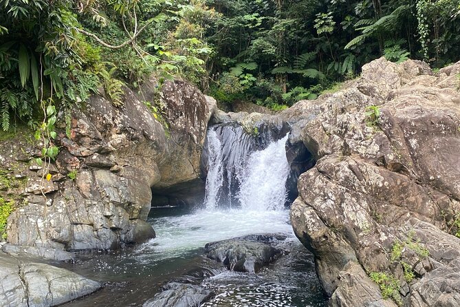 Half-Day El Yunque and Waterslides Adventure From Fajardo - Tour Overview