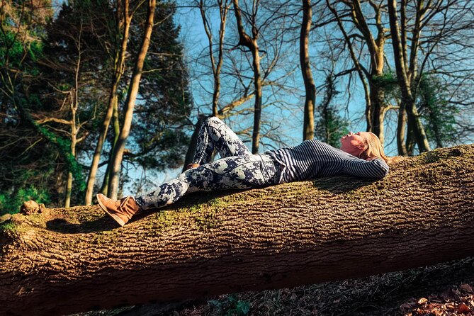 Half-day Forest Bathing and Yoga in Brightons Woodlands - Good To Know