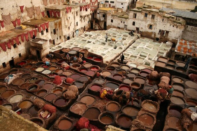 Half-Day Guided Tour in Fes - Good To Know