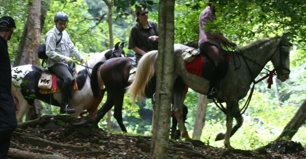 Half Day Horse Riding in Dambulla - Good To Know