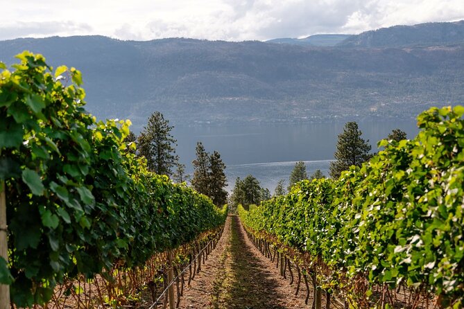 Half-Day Lake Country Wine Tour - Good To Know