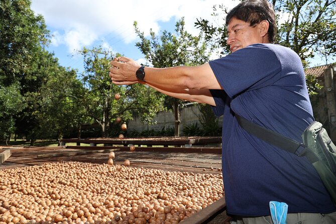 Half Day Macadamia and Coffee Tour From Quetzal Port - About Your Stay