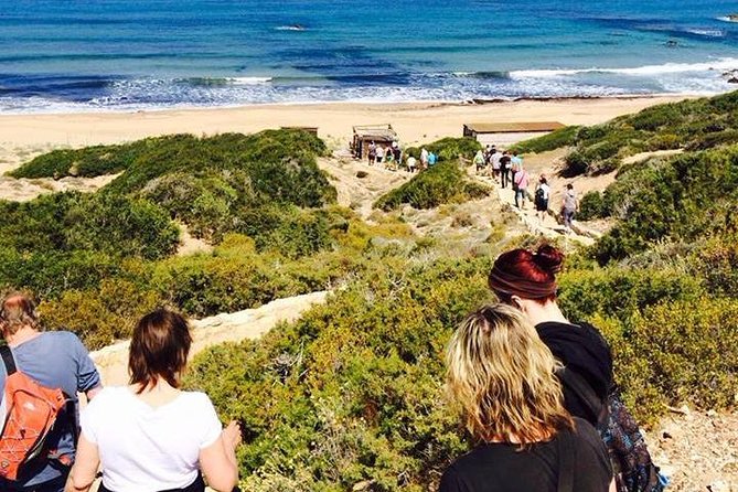 Half Day Safari Tour to Akamas Peninsula From Paphos - Overview of the Tour