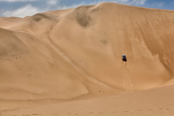 Half-Day Sandwich Harbour Tour From Walvis Bay With Lunch - Tour Overview and Highlights