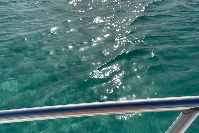 Half-day Snorkeling, Cruising, Iguana Island, Half Moon Bay - Tour Overview