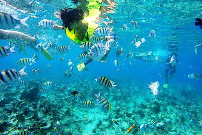 Half Day Sosua Sunset Cruise With Snorkeling - Included Amenities