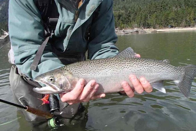 Half Day Spin Fishing Tour - Good To Know