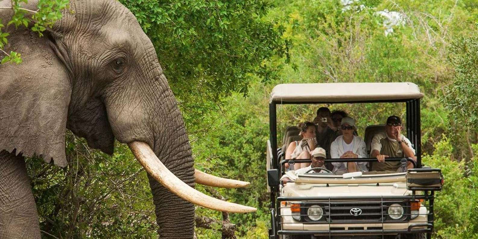 Half Day Tala Game Reserve & Natal Lion Park From Durban - Good To Know