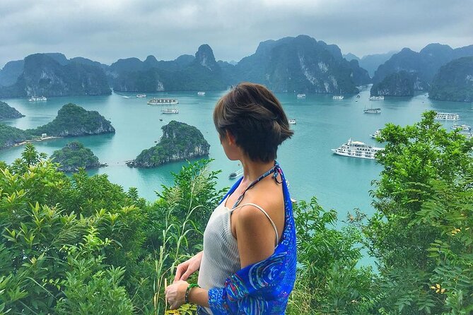 Halong Bay Full-Day Trip Expressway Transfer & Full Activities - Overview of the Trip