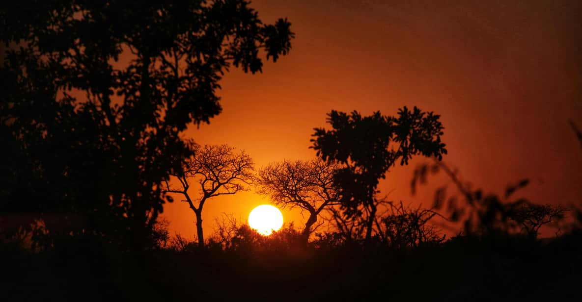 Hazyveiw : Kruger National Park Sunset Game Drive - Good To Know