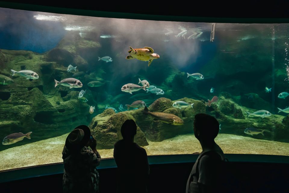 Heraklion Area: CRETAquarium Admission Ticket - Good To Know