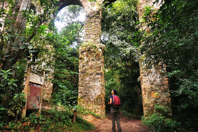 Highlights of Abraão and Enseada Das Estrela in a 4-Hour Tour - Tour Highlights