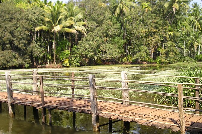 Highlights of South Goa With Spice Plantation Tour (Guided Fullday Tour by Car) - Good To Know