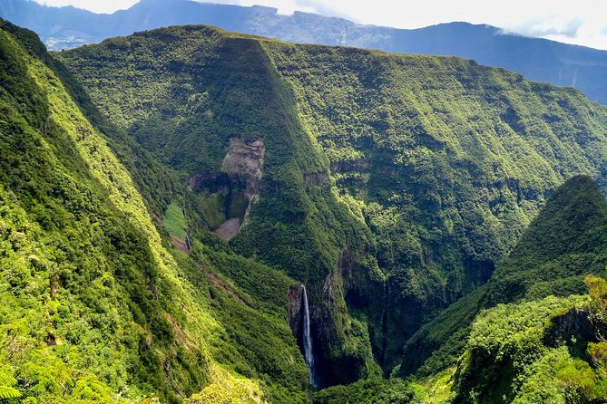 Hike: Bélouve Rainforest and Trou De Fer - Good To Know