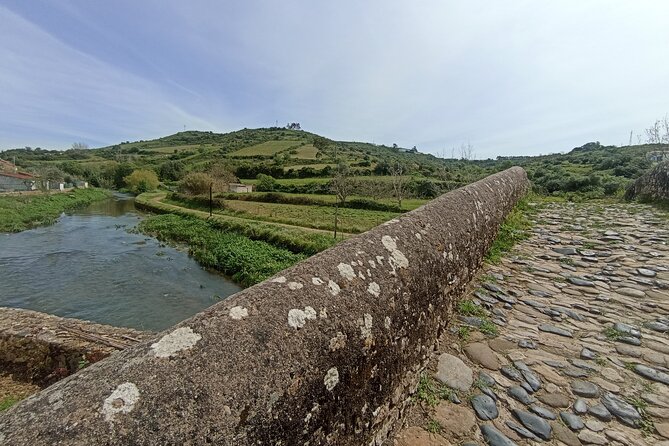 Hiking and Wine Tasting Experience - Good To Know