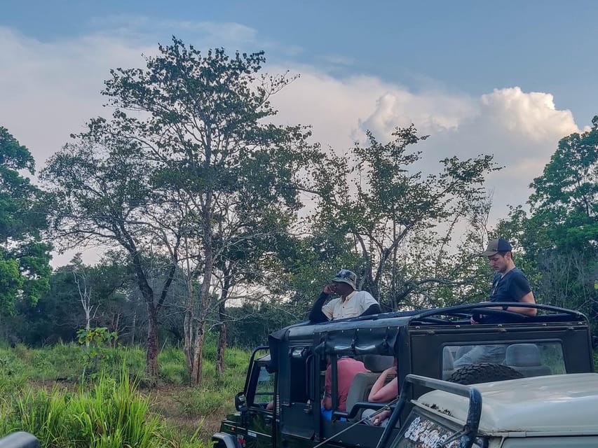 Hikkaduwa: Yala National Park Safari With Hotel Pickup - Good To Know