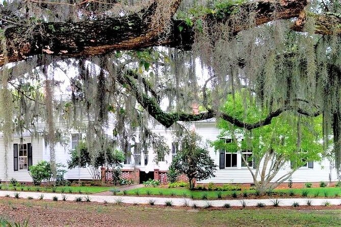 Hilton Head Honey Horn Admission With Guided Tour - Good To Know