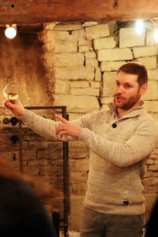 Historic Center of Dijon : Discovery Tasting Wine Burgundy - Key Points