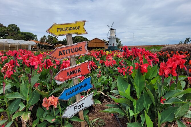 Holambra - The City of Flowers - Good To Know