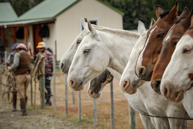 Horse Back Riding Expedition - Good To Know