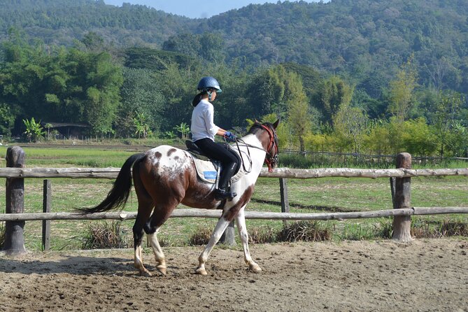 Horse Lesson+Riding+Wat Tonkwen Wooden Temple.Chiangmai - Good To Know