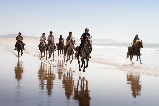 Horse Ride on the Beach in Essaouira - Good To Know