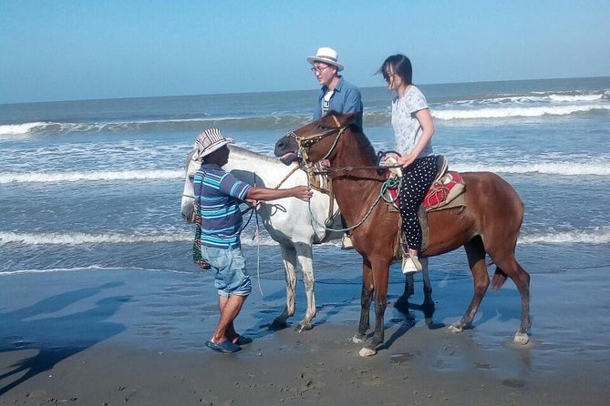 Horse Riding in Cartagena - Good To Know