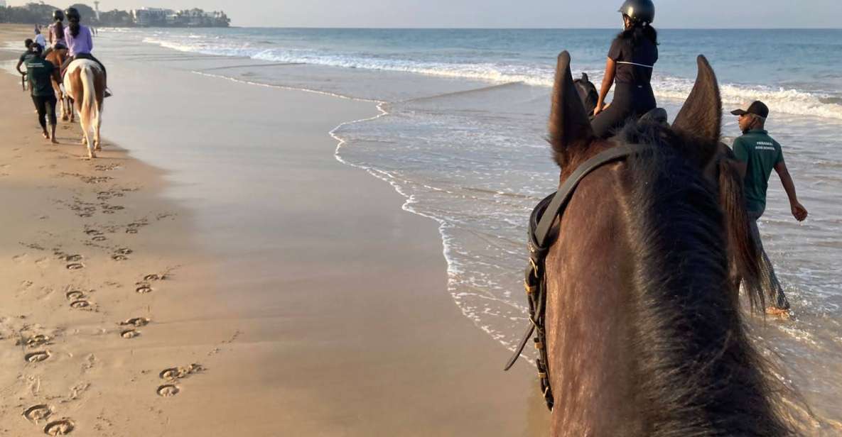 Horse Riding in Mount Lavinia - Good To Know