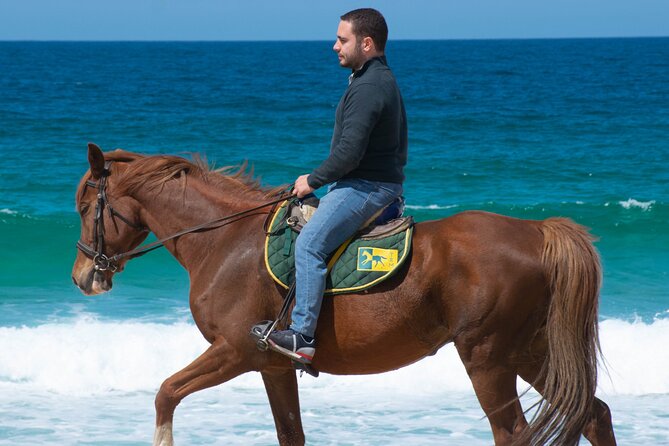 Horse Riding on Melides Beach - Good To Know