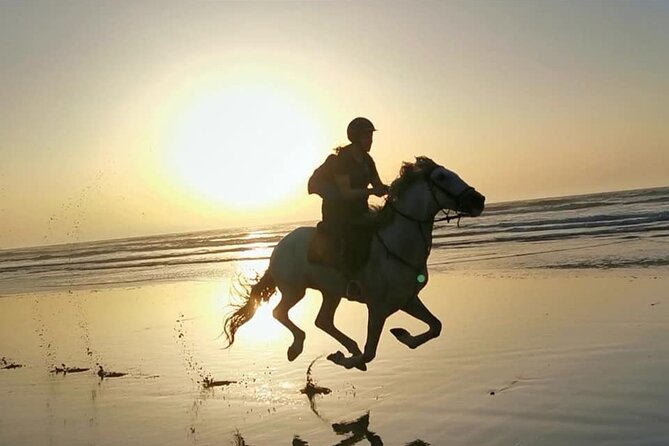 Horse Riding on the Beach of Essaouira 2 Hours - Good To Know