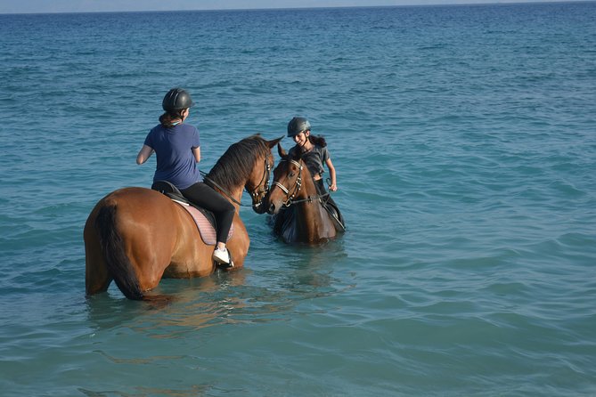 Horse Riding on the Beach, Rhodes - Good To Know