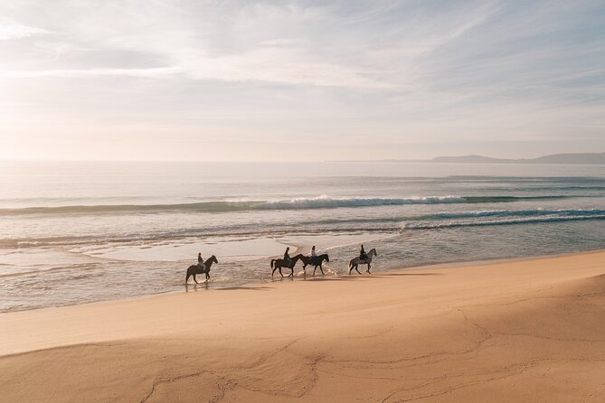 Horse Riding on the Beach With Private Transfer From Lisbon - Overview and Experience