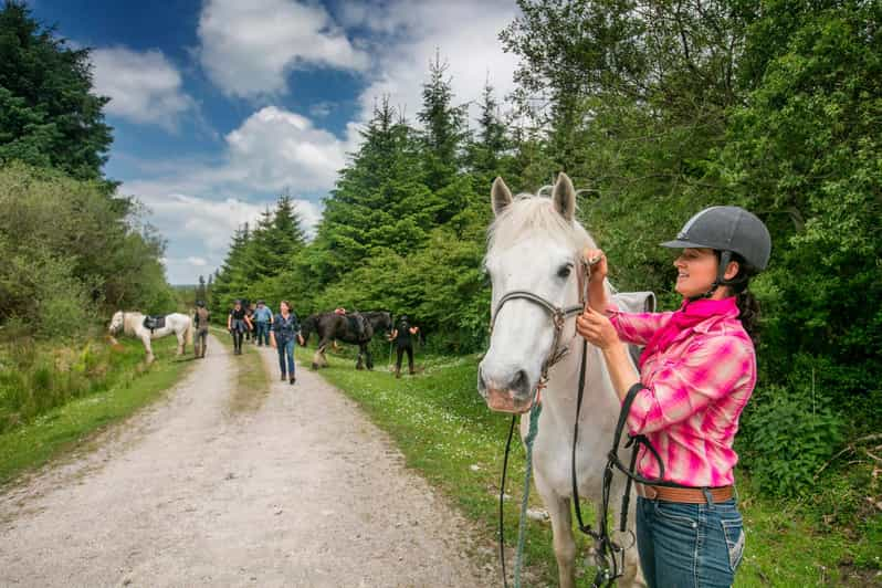 Horse Riding the Dirt Trail. Clare. Guided. 1 Hour - Scenic Highlights