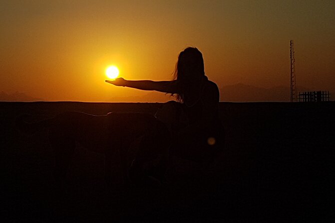 Horse Riding Tour 2 Hours Sea and Desert With Transfer - Hurghada - Good To Know