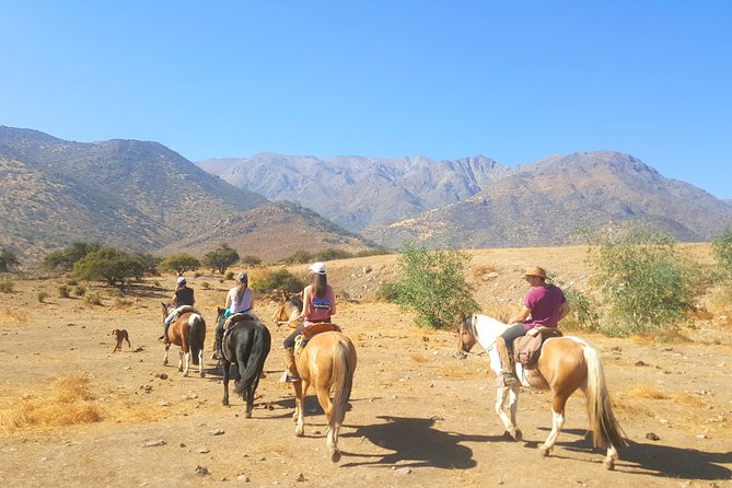 Horse Riding Tour in the Andes Santiago Chile - Good To Know