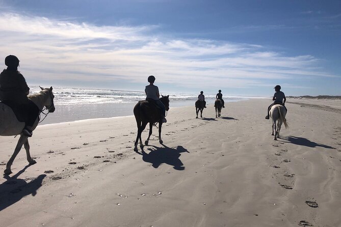 Horse Safari & Beach Ride Western Cape - Good To Know