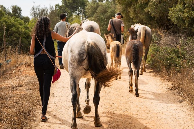 Horse Sanctuary: a Nature Walk With Rescued Horses by Your Side - Good To Know