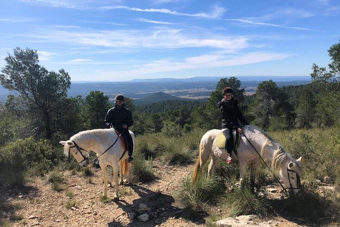 Horseback Riding and Wine Tour (Private Tour) - Good To Know