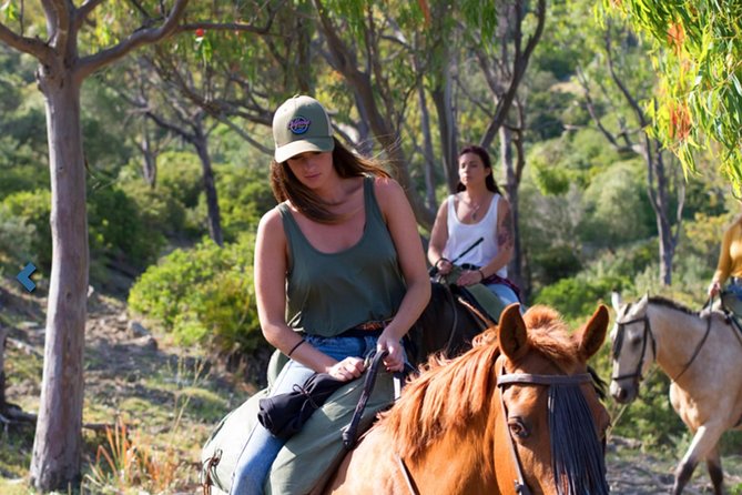 Horseback Riding by the Beach or Mountain in Tarifa, Spain - 1 to 2 Hrs - Exploring Tarifas Countryside and Coast