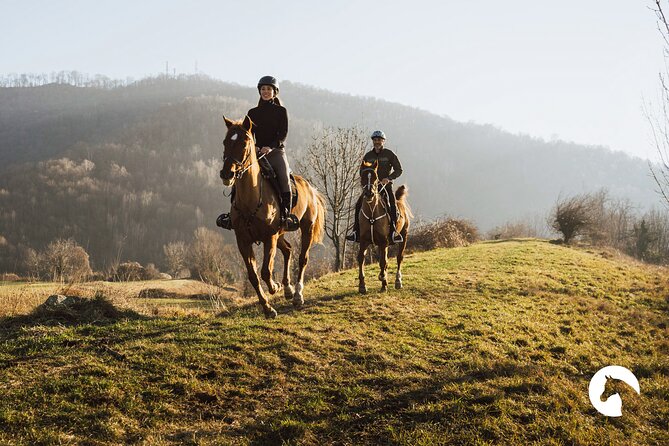 Horseback Riding for Experts Between the Lake and the Mountains - Good To Know