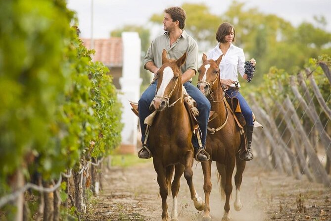 Horseback Riding in Mendoza Through the Vineyards and River With Optional Asado. - Good To Know