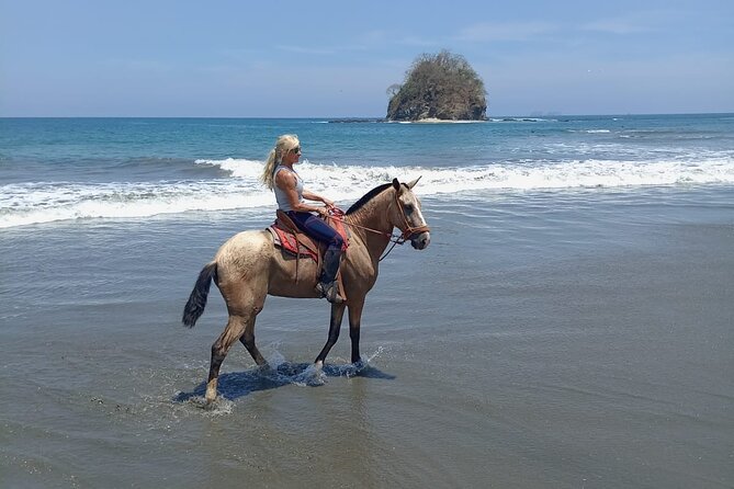 Horseback Riding on the Beach and Trails 2 Hours - Good To Know