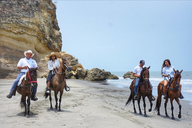 Horseback Riding on the Beach With Paso Colombiano Show,Cartagena - Good To Know